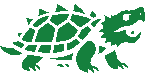 Snapping Turtle